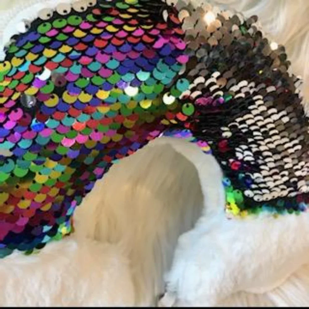 Angel Face Rainbow Reversible Sequin Bag